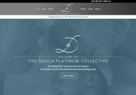 Doula Platinum Collective website homepage with services info.